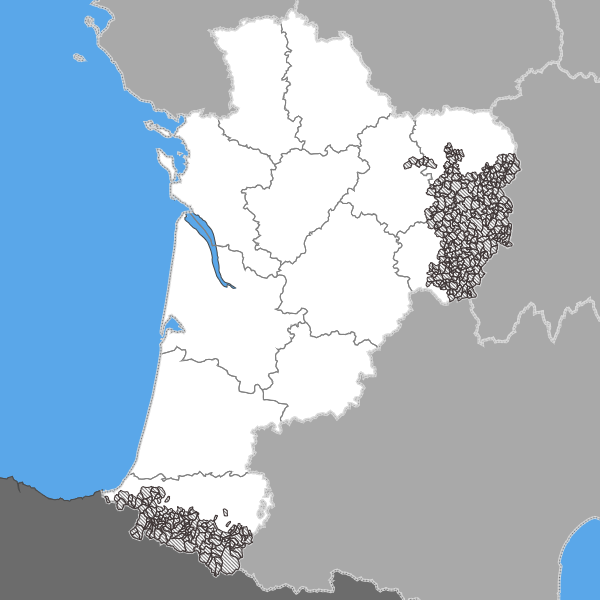 overview